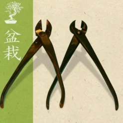 Sécateur Pour Bonsaï