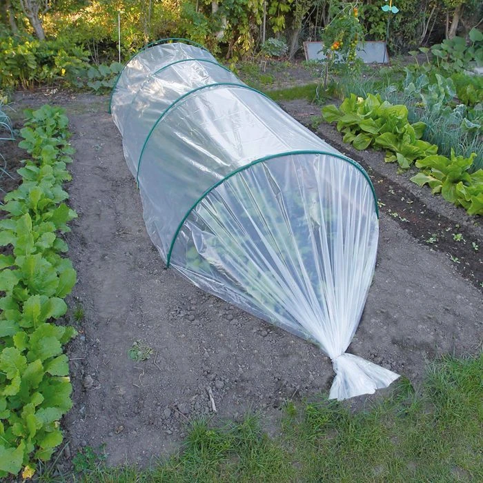 Film De Forçage Transparent 1 Film De Forçage Transparent